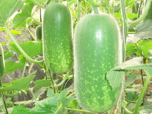 吃瓜网必看大瓜 王木木,揭秘娱乐圈背后的惊人真相