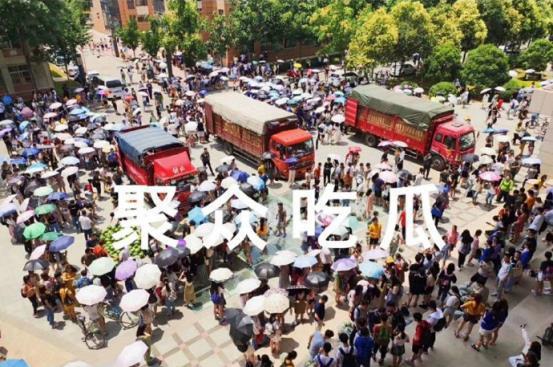 聚众吃瓜视频大全,聚众吃瓜视频大全，揭秘娱乐圈幕后故事