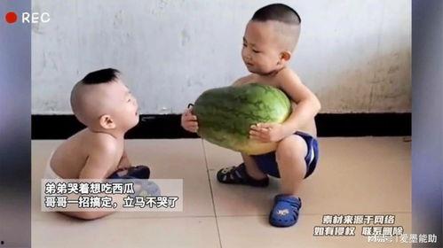 弟弟吃瓜图片,弟弟的欢乐吃瓜时光