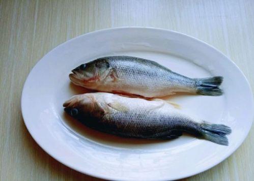 带你吃瓜之活鲈鱼,活鲈鱼的烹饪艺术与美味之旅