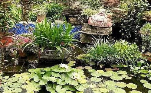 盲人吃瓜闲人养花,闲人静赏花韵——生活百态中的温馨瞬间