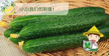 夏天吃瓜的最佳方法,揭秘吃瓜最佳姿势