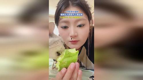 吃瓜吃货主播是谁,吃瓜吃货主播的崛起之路