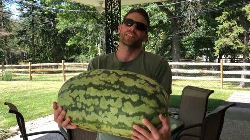 大玩具吃瓜,揭秘娱乐圈幕后风云