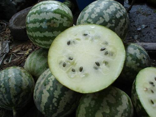 马炮瓜怎样吃,解锁美味新境界