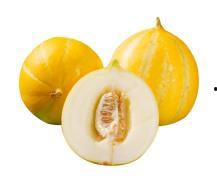 吃甜如蜜瓜视频,一场视觉与味觉的双重盛宴