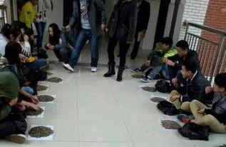 西宁卫校吃瓜视频,一场校园风波背后的真相