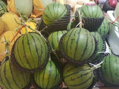 小原吃瓜,揭秘娱乐圈那些不为人知的幕后故事