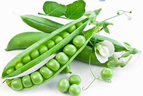 吃曼陀罗瓜种子,神秘果实背后的神奇功效与食用指南